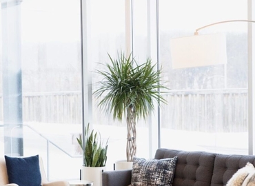 30 m² Shared office  in Minneapolis, MN, South Wayzata Boulevard 2909 (55405) - 7 | MatchOffice.com