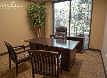 10764 m² Coworking  in The Woodlands, TX, 1095 Evergreen Circle (77380) - 9 | MatchOffice.com