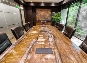  Meeting room in The Woodlands, TX, 1095 Evergreen Circle (77380) - 1 | MatchOffice