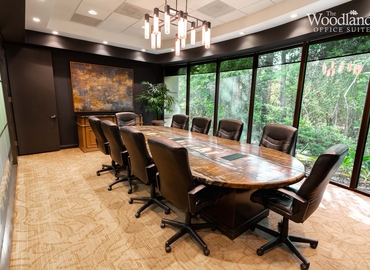  Conference space in The Woodlands, TX, 1095 Evergreen Circle (77380) - 0 | MatchOffice.com