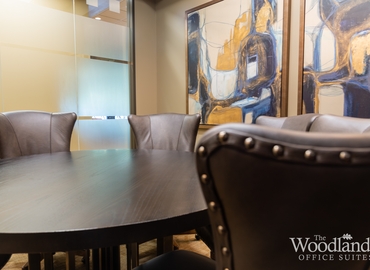 215 m² Convention center in The Woodlands, TX, Evergreen Circle 1095 (77380) - 1 | MatchOffice.com
