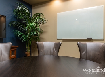 215 m² Conference center in The Woodlands, TX, Evergreen Circle 1095 (77380) - 2 | MatchOffice
