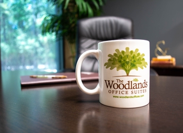  Conference hall in The Woodlands, TX, Evergreen Circle 1095 (77380) - 1 | MatchOffice.com