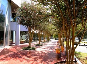 474 m² Coworking space  in Houston Southwest, TX, Savoy Drive 6464 (77036) - 10 | MatchOffice