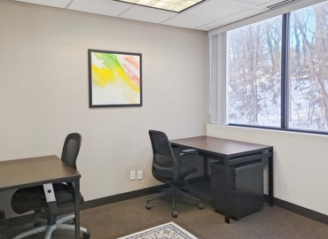 10 m² Business park in New York Midtown East, NY, 1129 Northern Boulevard (11030) - 9 | MatchOffice
