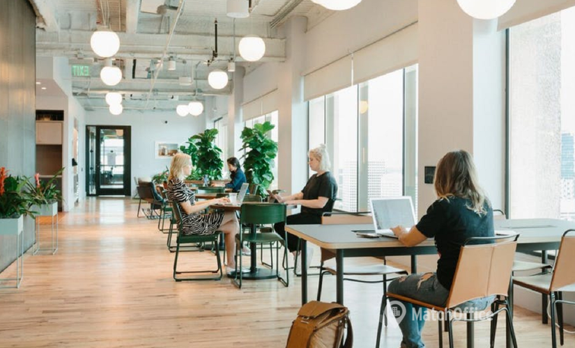 100 m² Serviced office in Melbourne, William Street 114 (3000) - 3 | MatchOffice