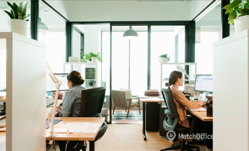 100 m² Shared office  in Melbourne, William Street 114 (3000) - 2 | MatchOffice