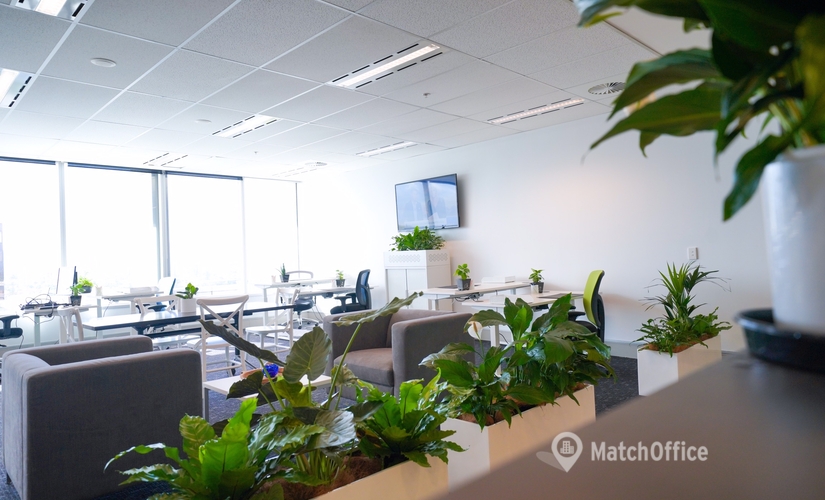 100 m² Coworking space  in Bundall, Level 9 (4217) - 0 | MatchOffice