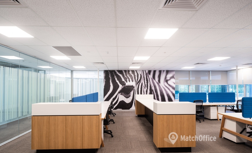 50 m² Conference center in Sydney, Level 2 25 Ryde Road (2073) - 4 | MatchOffice