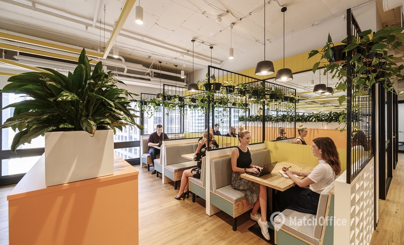 300 m² Office space for rent in Sydney, 175 Pitt Street, 2000  - 2 | MatchOffice