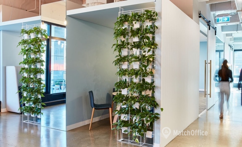 40 m² Serviced office property available to rent in Sydney, Carrington Street 50 (2000) - 0 | MatchOffice.com
