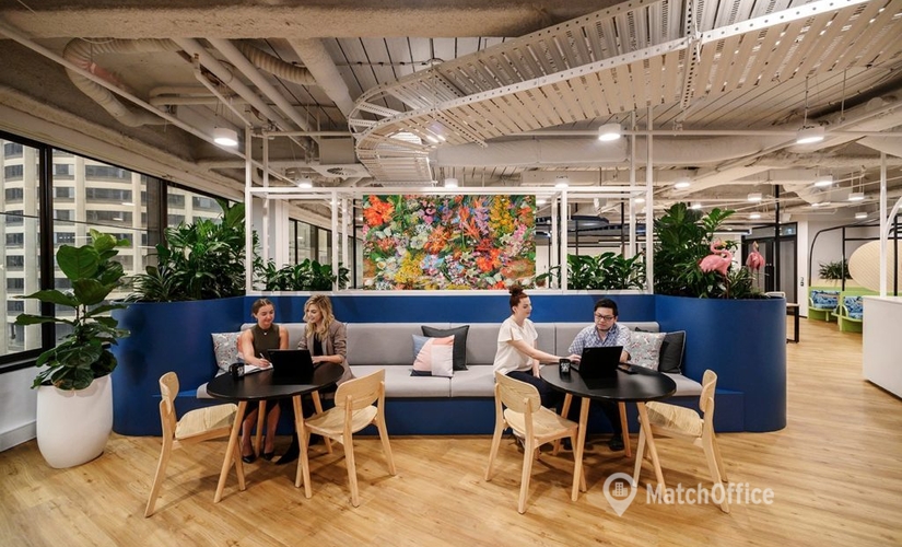 300 m² Business space in Sydney, 60 Margaret Street (2000) - 1 | MatchOffice.com