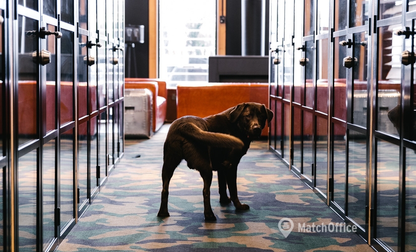 1 m² Co-working  in Melbourne Hawthorn, Church Street 22 (3122) - 6 | MatchOffice.com