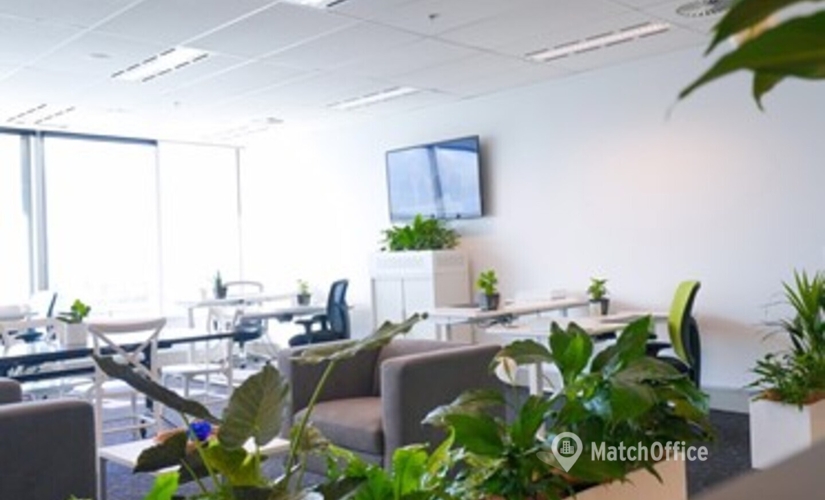 50 m² Conference center in Brisbane, Level 9 (4217) - 3 | MatchOffice.com