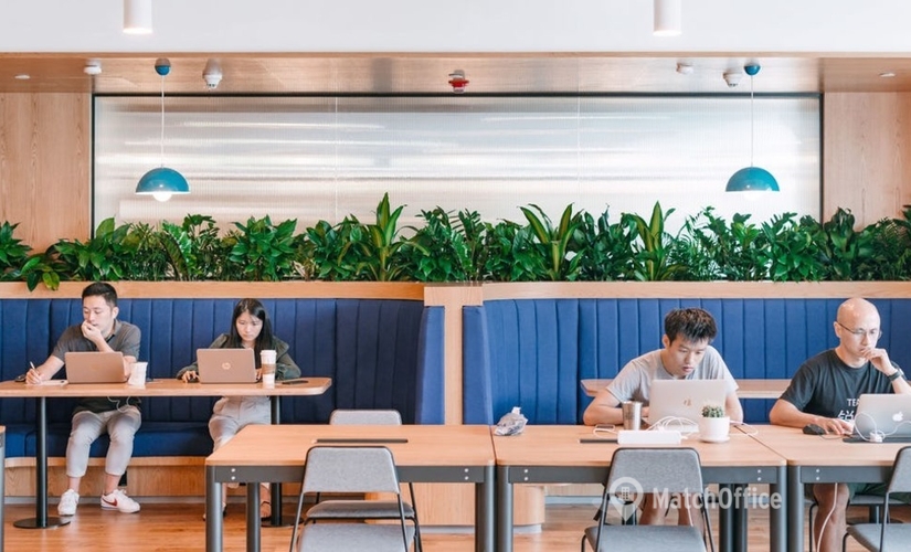 40 m² Business park place up for rent in Shanghai, Pudong, Pu Dong Lu (200000) - 3 | MatchOffice.com