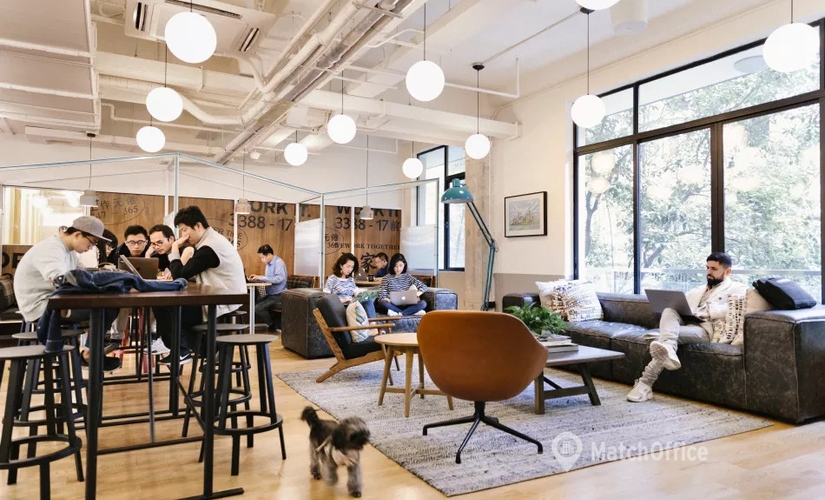 200 m² Coworking in Shanghai, Lu Wan, Yan Ping Lu 135 (200085) - 2 | MatchOffice