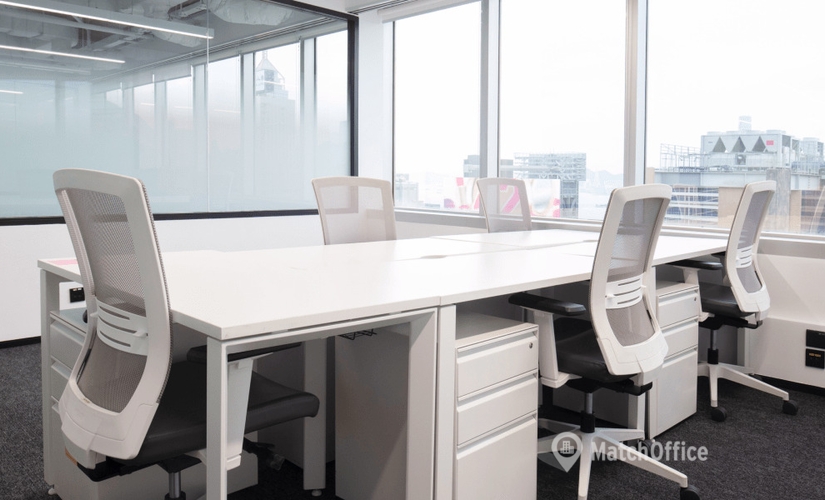Business center Canton Road 30  Tsim Sha Tsui