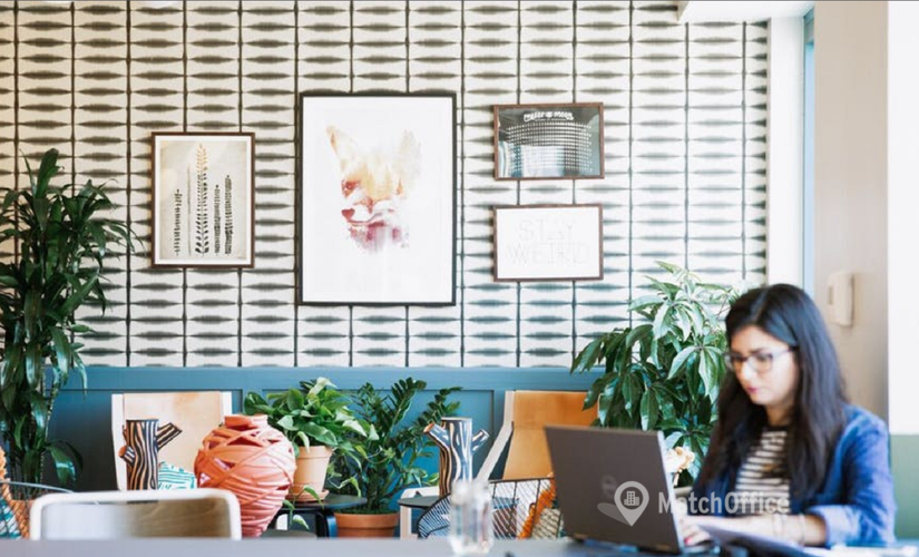 50 m² Conference space in Mumbai Central, Zenia Building (411027) - 4 | MatchOffice.com