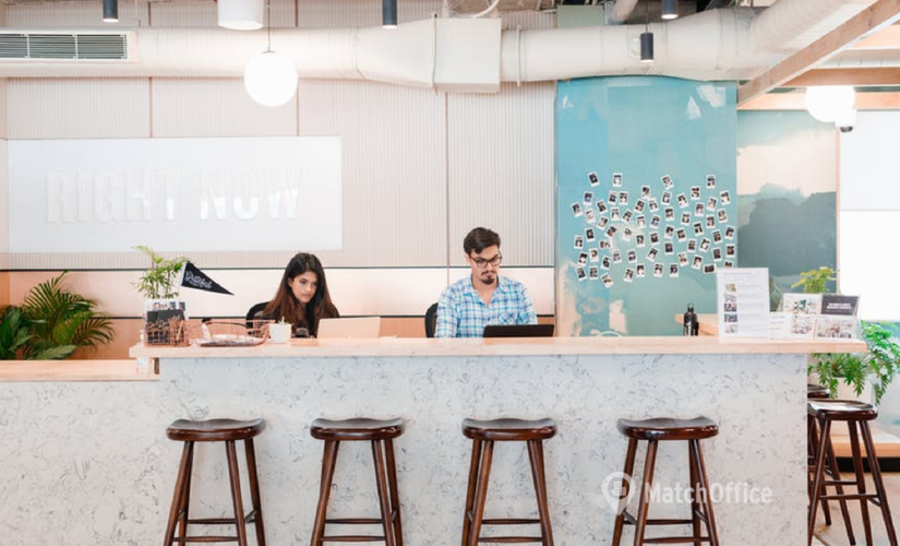 100 m² Shared office  in Bangalore Central, Intermediate Ring Road (560071) - 0 | MatchOffice