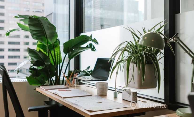 100 m² Coworking  in Mumbai Central, Sag Baug Road (400059) - 4 | MatchOffice.com