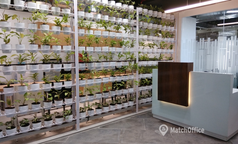 10000 m² Coworking space in Mumbai Central, New Link Road (400064) - 0 | MatchOffice.com