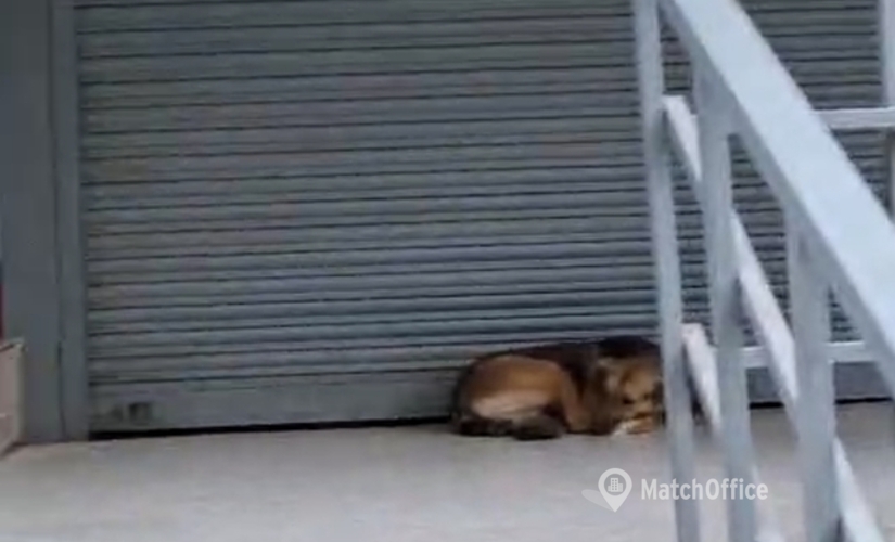 43 m² Shop for rent in Noida, Sector 50 (201301) - 3 | MatchOffice.com