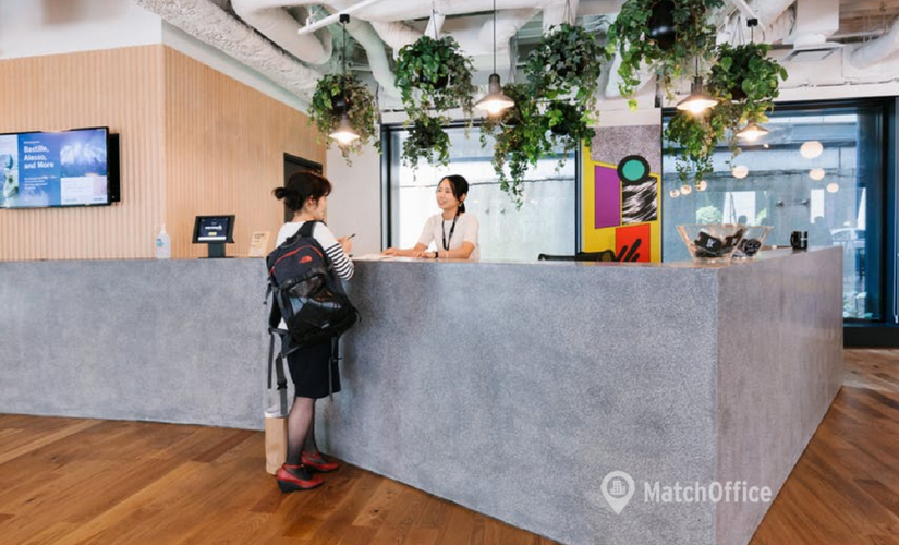 150 m² Serviced office in Tokyo, 6-19-13 Shimbashi Minato-ku (105-0004) - 1 | MatchOffice.com