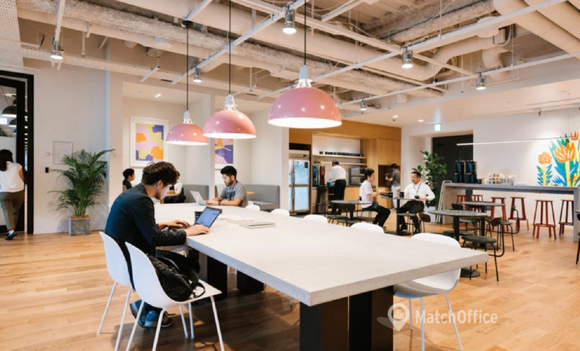 20 m² Shared office  in Tokyo, 2-1-6 Uchisaiwaicho Chiyoda-ku (100-0011) - 1 | MatchOffice.com