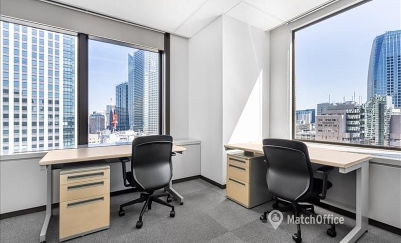 Virtual address in Tokyo, Shinjuku Park Tower 30th Floor (163-1030) - 2 | MatchOffice.com