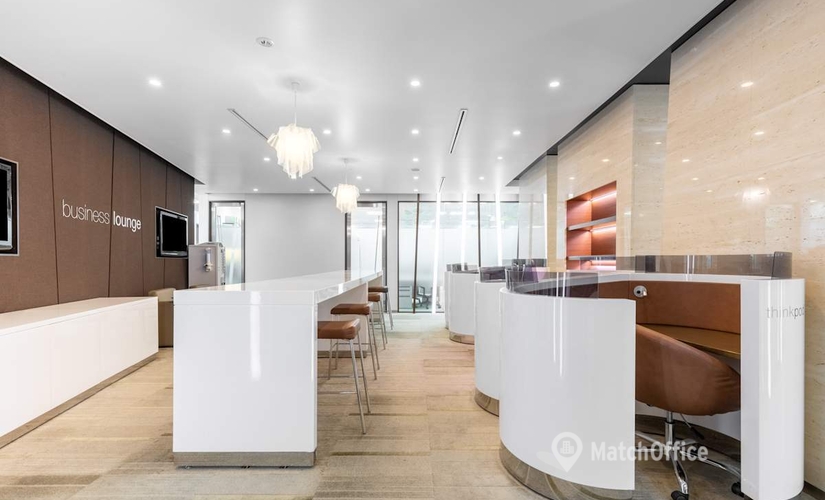 10 m² Coworking  in Tokyo Shinjuku, 3-20-1 Minamiazabu (106-0047) - 4 | MatchOffice.com
