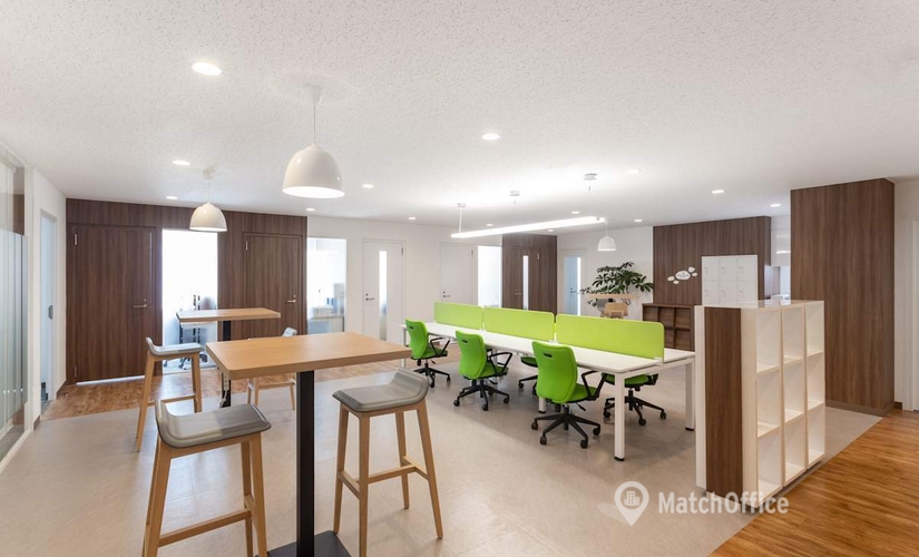 10 m² Serviced office in Tokyo, 2-3-15 Kume (900-0033) - 4 | MatchOffice