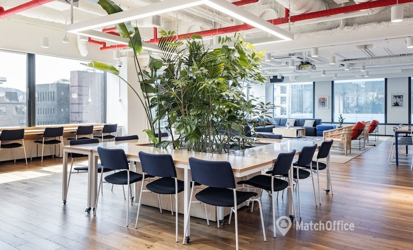 85 m² Conference center in Seoul, 2/F (06239) - 3 | MatchOffice.com