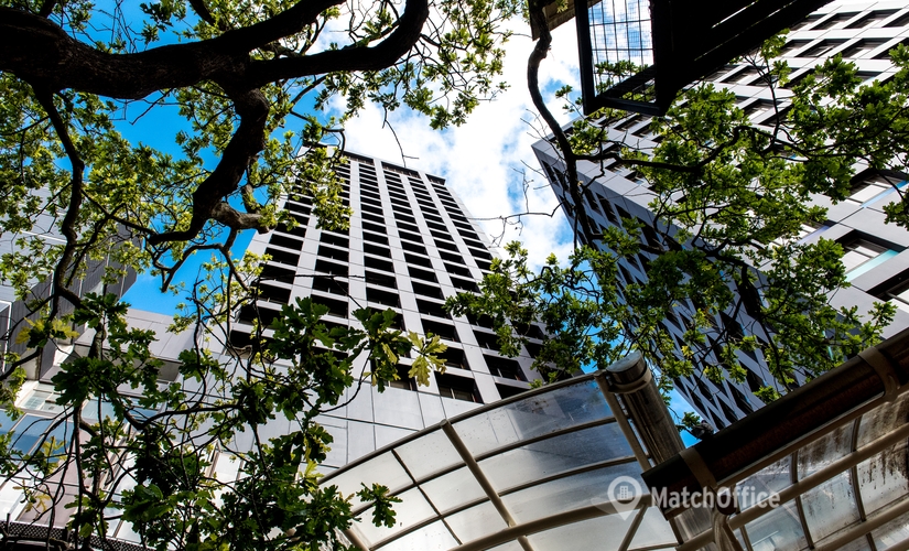 Virtual business address in Auckland, 501 Karangahape Road (1010) - 0 | MatchOffice.com