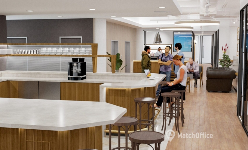 200 m² Business center in Wellington, Lady Elizabeth Lane 40 (6011) - 3 | MatchOffice.com