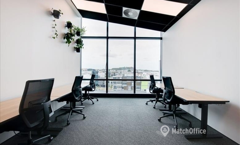 100 m² Conference hall in Auckland, Williamson Avenue 4 (1021) - 2 | MatchOffice.com