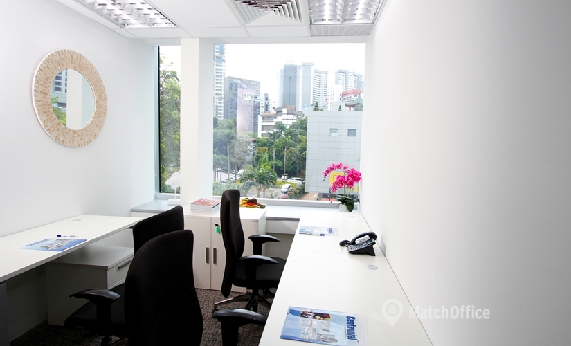 Business center 15 Scotts Road 228218 Orchard