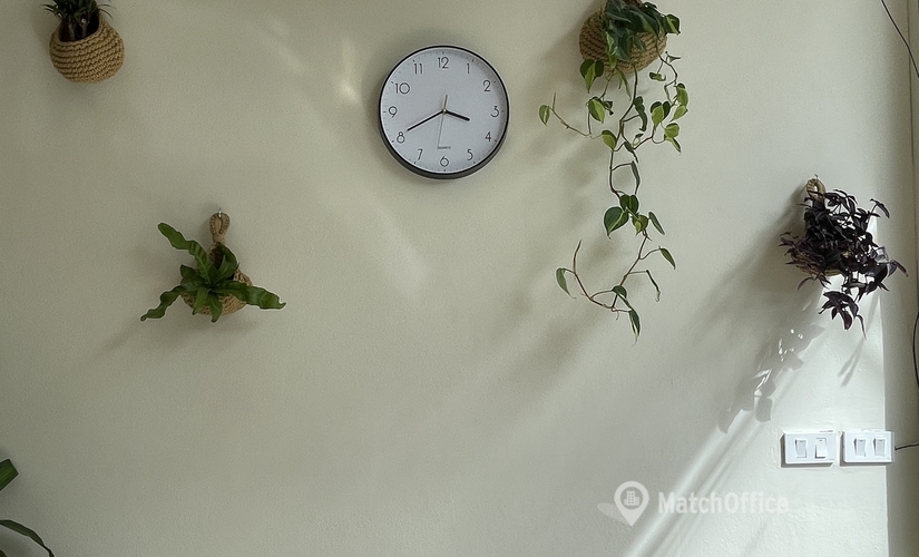 1000 m² Shared office  in Koh Samui, ตำบล บ่อผุด (84320) - 0 | MatchOffice.com