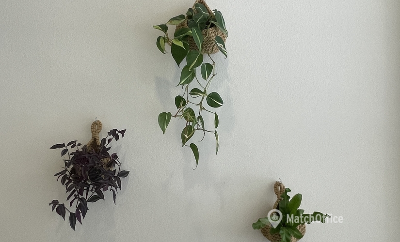 1000 m² Co-working in Koh Samui, ตำบล บ่อผุด (84320) - 1 | MatchOffice.com