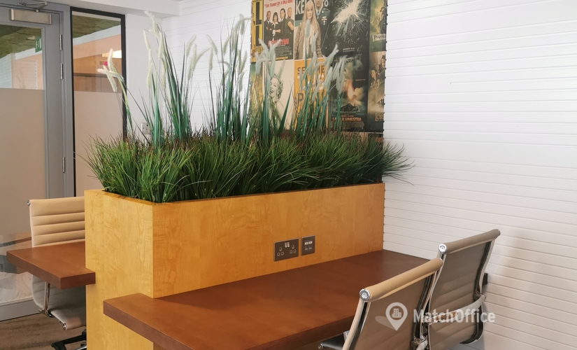 50 m² Coworking space  in Dubai, Al Falak Street Plot No.1 (%[postal_code]) - 1 | MatchOffice
