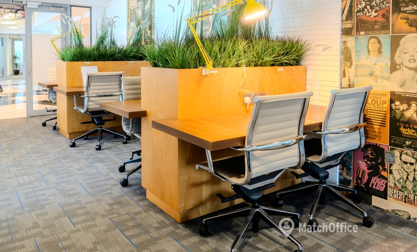 4 m² Coworking  in Dubai, Media 1 Tower (%[postal_code]) - 1 | MatchOffice.com