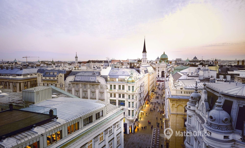 Besprechungsraum Tuchlauben 7A 1010 Wien