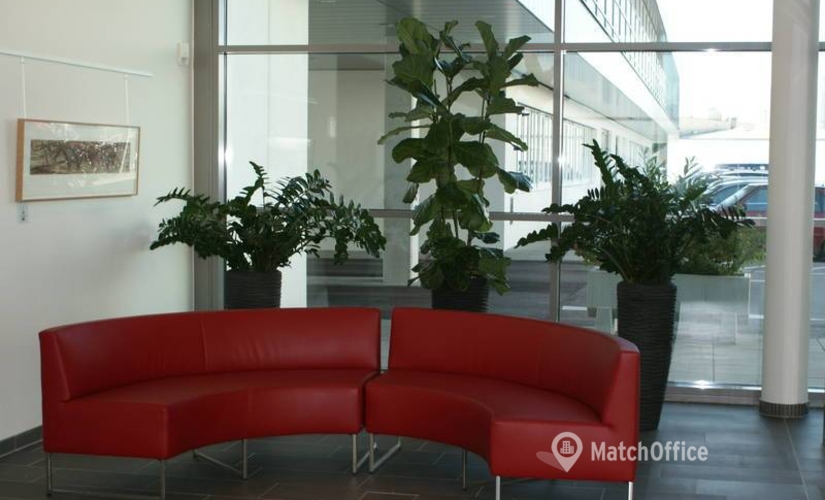 250 m² Shared workspace in Salzburg, Franz-Peyerl-Strasse 15 (5020) - 1 | MatchOffice.com