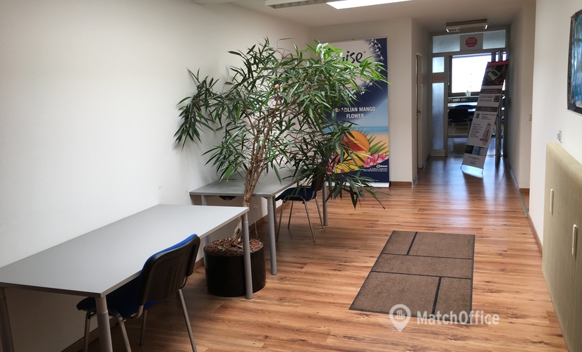 Coworking Space  zur Miete in Salzburg, Sterneckstraße 55, 250 m², 1