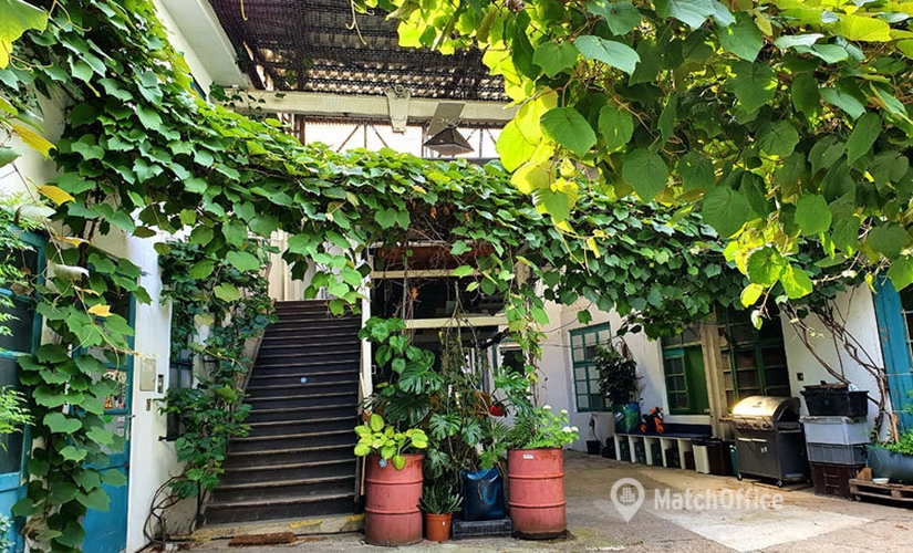 Coworking Space zur Miete in Wien, Neumayrgasse 15, 135 m², 4