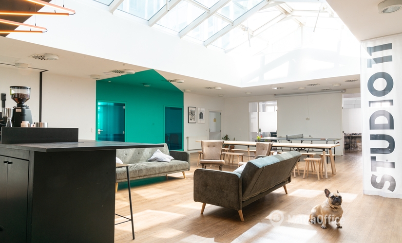 Сoworking Bräunerstraße 11/03 1010 Wien