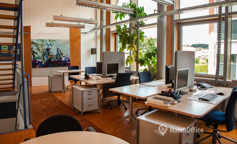 Coworking Space zu vermieten in Salzburg, Hallwanger Landesstraße 6, 300 m², 11