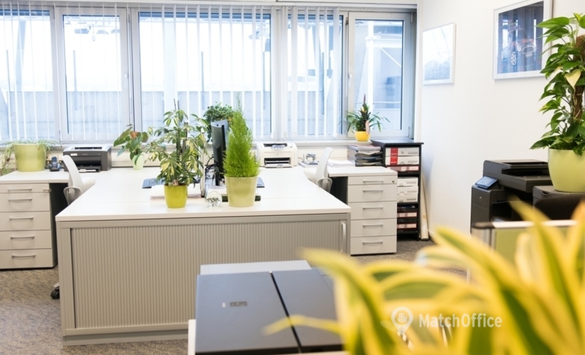 30 m² Coworking space  in Graz, Liebenauer Hauptstrasse 2-6 (8041) - 2 | MatchOffice
