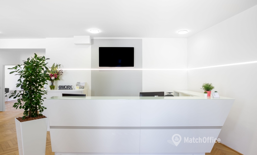 Rent comfortable a 70 m² Shared office  in Vienna, Graben 19 (1010) - 4 | MatchOffice
