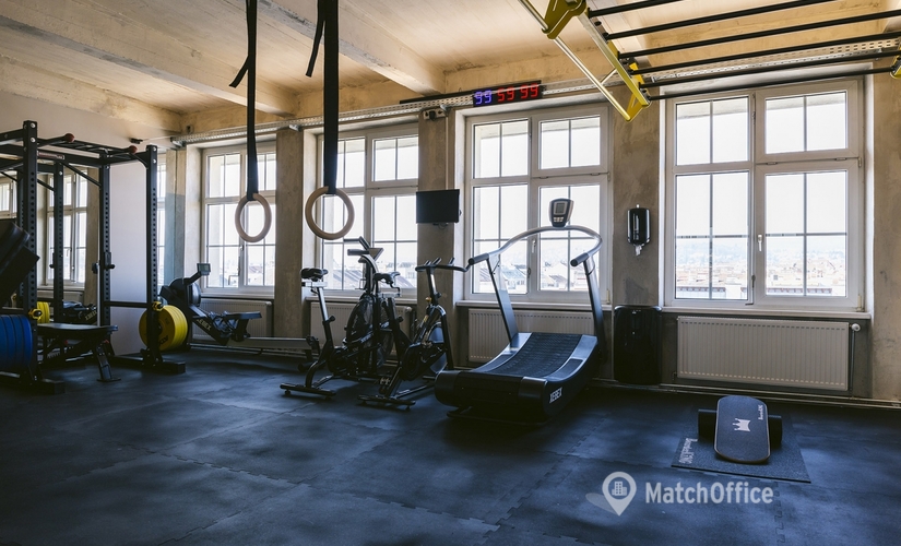 Coworking zur Miete in Wien, Wattgasse 48/26, 700 m², 4