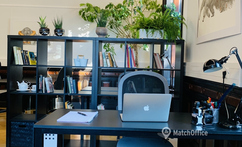 50 m² Business center in Vienna, Goethegasse 3 (1010) - 3 | MatchOffice.com
